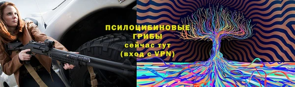 PSILOCYBIN Армянск