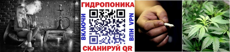 kraken   Нарьян-Мар  Бошки Шишки Ganja  закладка 